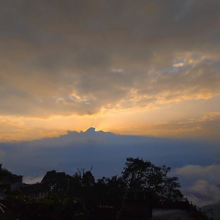 ダージリン Hidden Monkey Backpackers, Railway Station, Darjeelingホステル エクステリア 写真