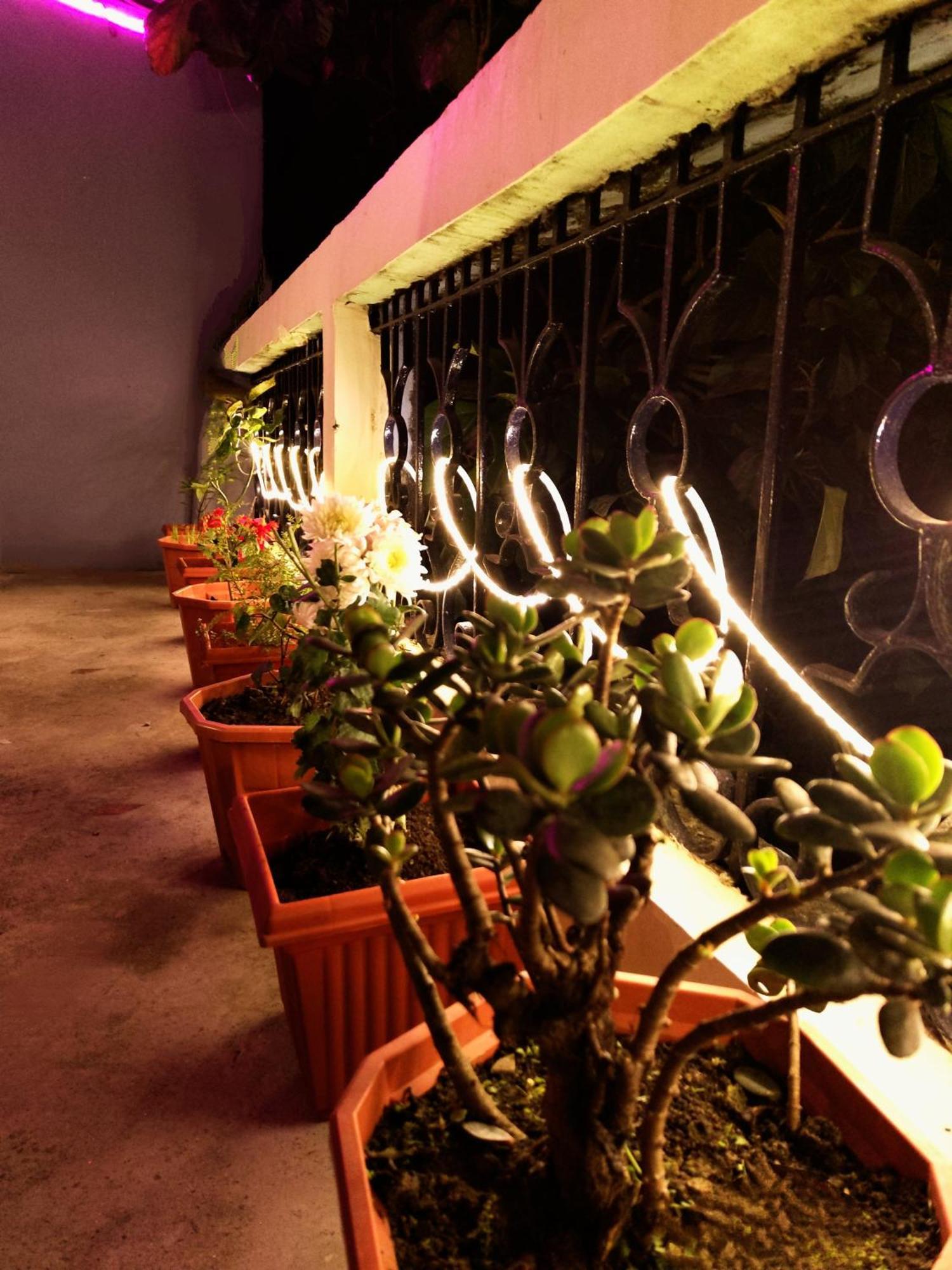 ダージリン Hidden Monkey Backpackers, Railway Station, Darjeelingホステル エクステリア 写真